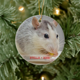 Personalisiertes Rattentier Foto & Name Weihnachts Keramikornament