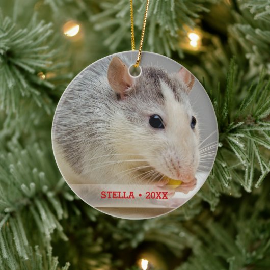 Personalisiertes Rattentier Foto & Name Weihnachts Keramikornament (Baum)