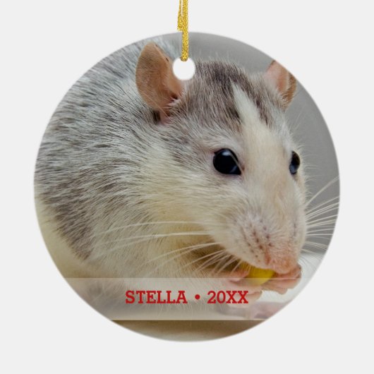 Personalisiertes Rattentier Foto & Name Weihnachts Keramikornament (Hinten)