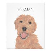 Personalisiertes Rotes Apricot Fotodruck (Vorne)