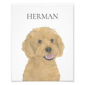 Personalisiertes Rotes Golden Apricot Doodle Art Fotodruck (Vorne)