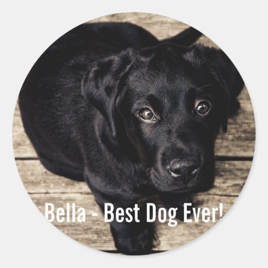 Personalisiertes schwarzes Labor Foto und Name des Runder Aufkleber (Vorderseite)