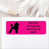 Personalisiertes schwarzes Poodle auf rosa Adresse (Insitu)