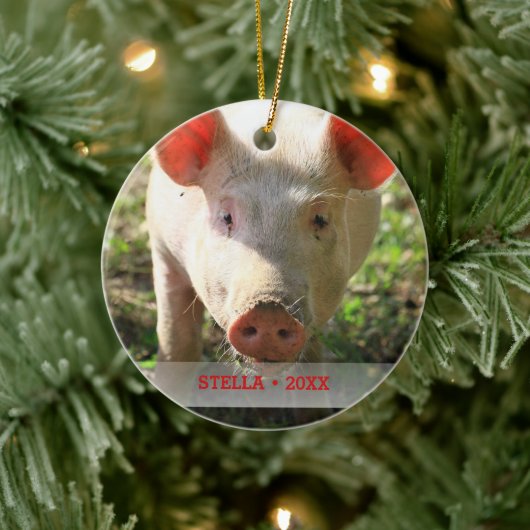 Personalisiertes Schweinefleisch Foto und Name Wei Keramikornament (Baum)