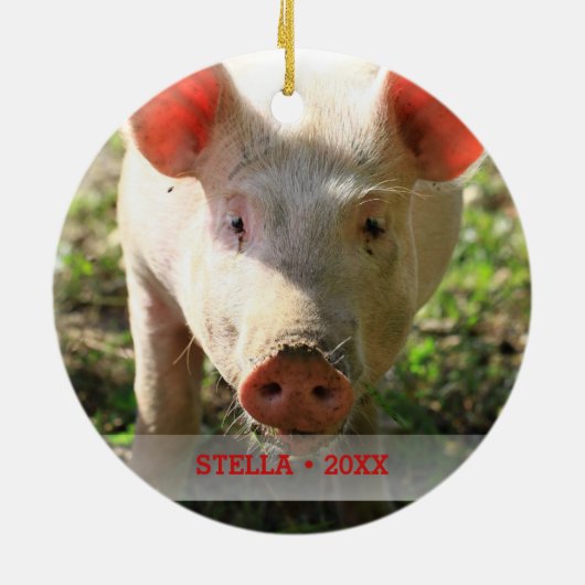 Personalisiertes Schweinefleisch Foto und Name Wei Keramikornament (Hinten)