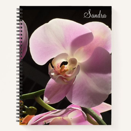 Personalisiertes SpiralNotebook mit rosa Orchid Notizblock (Vorderseite)