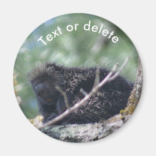 Personalisiertes Stachelschwein-Wildtier-Tier-Natu Magnet