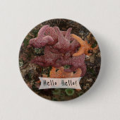 Personalisiertes Starfish/Sea-Star-Foto 5 Button (Vorderseite)