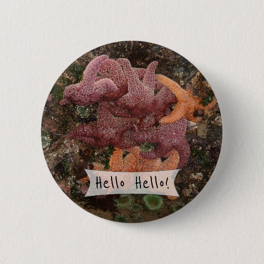 Personalisiertes Starfish/Sea-Star-Foto 5 Button (Vorderseite)