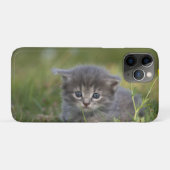 Personalisiertes süßes Kätzchen Case-Mate iPhone Hülle (Rückseite (Horizontal))