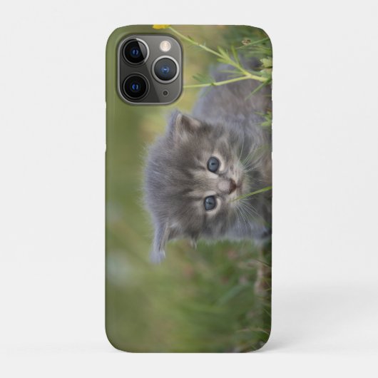 Personalisiertes süßes Kätzchen Case-Mate iPhone Hülle (Rückseite)
