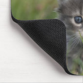 Personalisiertes süßes Kätzchen Mousepad (Ecke)