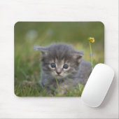 Personalisiertes süßes Kätzchen Mousepad (Mit Mouse)