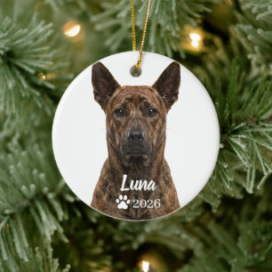 Personalisiertes Thai Ridgeback-Hunde-Foto-Ornamen Keramik Ornament