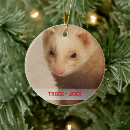 Personalisiertes Tier Ferret Foto Name Weihnachtsb Keramik Ornament