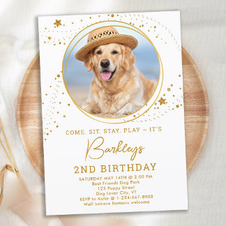 Personalisiertes Tier Foto Gold Stars Hund Geburts Einladung