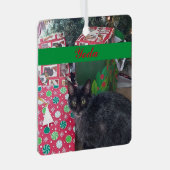 Personalisiertes Tier Foto Green Red Einfach Ornament Aus Metall (Vorderseite Rechts)