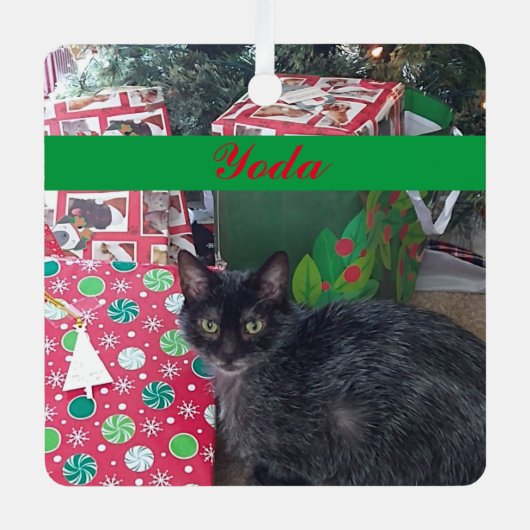 Personalisiertes Tier Foto Green Red Einfach Ornament Aus Metall (Vorderseite)