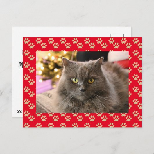 Personalisiertes Tier Katze Foto Meowy Weihnachten (Vorne/Hinten)