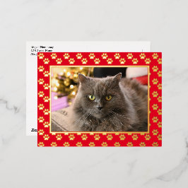 Personalisiertes Tier Katze Foto Meowy Weihnachten Folien Feiertagspostkarte