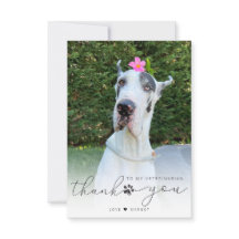 Personalisiertes tierärztliches Pet-Foto