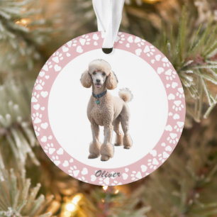 Personalisiertes Tiergedächtnisrahmen mit Pfotenab Ornament