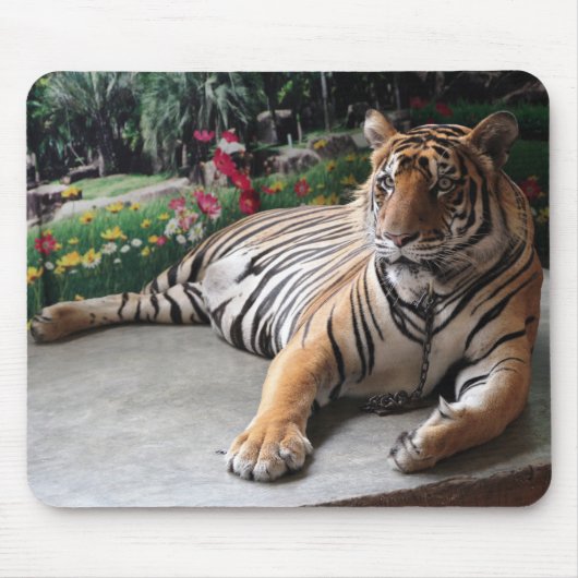 Personalisiertes Tiger Wildtier Mousepad (Vorne)