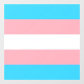 Personalisiertes Transgender-Flag Fensteraufkleber (Blatt)