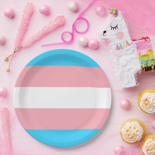 Personalisiertes Transgender-Flag Pappteller (Party)