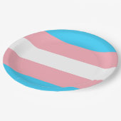 Personalisiertes Transgender-Flag Pappteller (Schrägansicht)