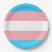 Personalisiertes Transgender-Flag Pappteller (Vorderseite)