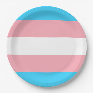 Personalisiertes Transgender-Flag Pappteller