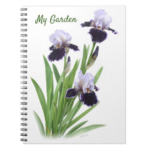 Personalisiertes Trio von Violetten Bart-Iris Notizblock
