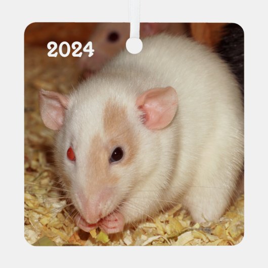 Personalisiertes, ungeradenes Auge Beige Dumbo Ext Ornament Aus Metall (Rückseite)