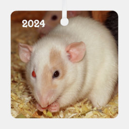 Personalisiertes, ungeradenes Auge Beige Dumbo Ext Ornament Aus Metall