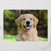 Personalisiertes Weihnachts-Foto Folien Feiertagskarte (Rückseite)