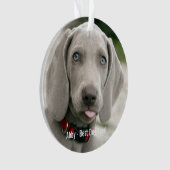 Personalisiertes Weimaraner-Hund-Foto und Name des Ornament (Vorderseite)