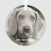 Personalisiertes Weimaraner-Hund-Foto und Name des Ornament (Rückseite)