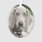 Personalisiertes Weimaraner-Hund-Foto und Name des Ornament (Vorderseite)