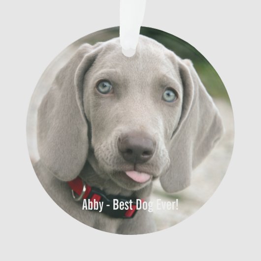 Personalisiertes Weimaraner-Hund-Foto und Name des Ornament (Vorderseite)