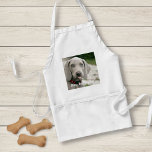 Personalisiertes Weimaraner-Hund-Foto und Name des Schürze<br><div class="desc">Das personalisierte Weimaraner Dog Foto und der Weimaraner Hundename Design verfügen über ein hochgeladenes Foto Ihres Weimaraners (oder irgendeines Fotos), den Hundenamen oder den eigenen Text - Wir Liebe "Hundename", Hundengeburtstag oder Tag des Übergangs. Klicken Sie einfach auf "Anpassen", um Ihren personalisierten Text hinzuzufügen, den Schriftart und die Farbe zu...</div>