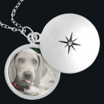Personalisiertes Weimaraner-Hund-Foto und Name des Versilberte Kette<br><div class="desc">Das personalisierte Weimaraner Dog Foto und der Weimaraner Hundename Design verfügen über ein hochgeladenes Foto Ihres Weimaraners (oder irgendeines Fotos), den Hundenamen oder den eigenen Text - Wir Liebe "Hundename", Hundengeburtstag oder Tag des Übergangs. Klicken Sie einfach auf "Anpassen", um Ihren personalisierten Text hinzuzufügen, den Schriftart und die Farbe zu...</div>