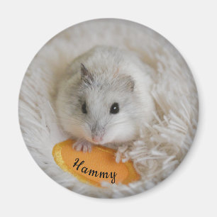 Personalisiertes Weiße Zwerg Hamster  Magnet