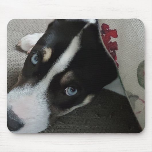 Personalisiertes Welpe-Foto Mousepad (Vorne)