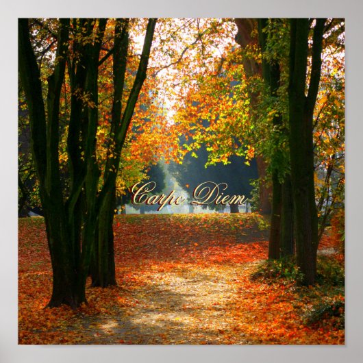 Personalizable Carpe Diem with colorful leaf Poster (Vorne)
