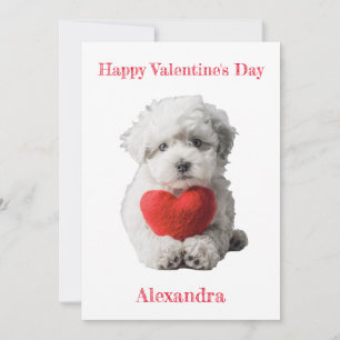 Personalize Bichon Frise Puppy Valentine Feiertagskarte