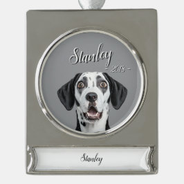 personalize pet name & picture Banner-Ornament silber