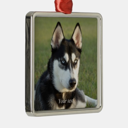 Personalize Siberian Husky puppy Ornament Aus Metall (Rechts)