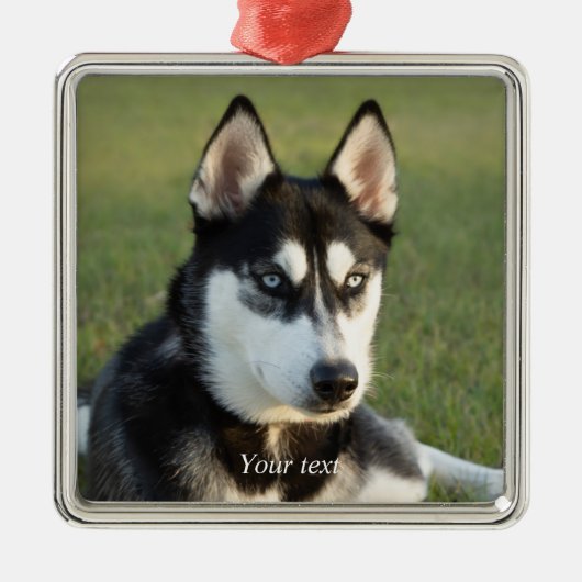 Personalize Siberian Husky puppy Ornament Aus Metall (Vorne)