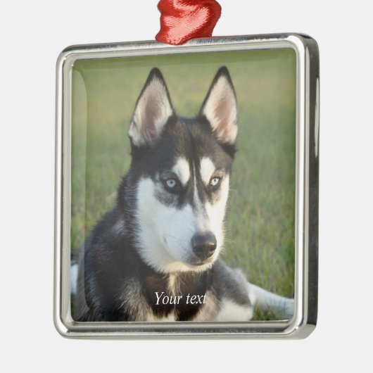 Personalize Siberian Husky puppy Ornament Aus Metall (Links)